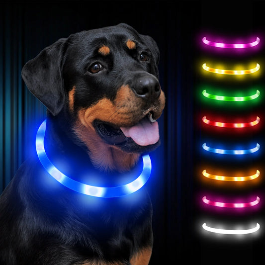 Collare LED Ricaricabile USB per Cani e Gatti — 3 Modalità"