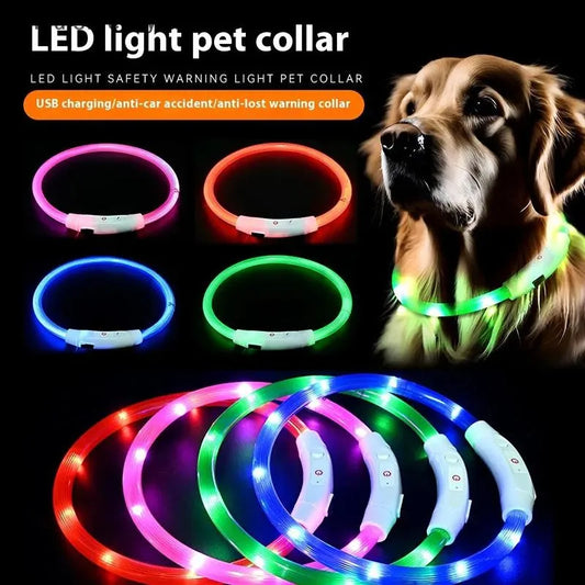 Collare LED Ricaricabile USB per Cani e Gatti — 3 Modalità"