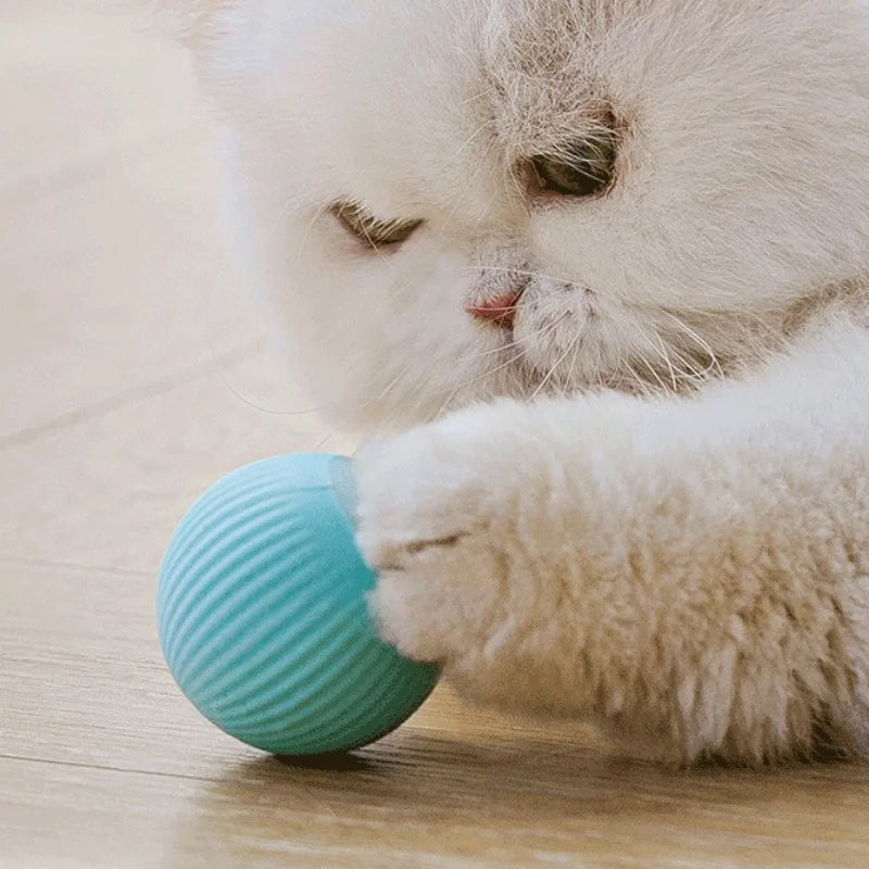Palla interattiva per gatti Giocattoli per gatti intelligenti per animali domestici Palla magica rotante automatica per interni Giocattolo interattivo elettronico per gatti Accessori per animali domestici