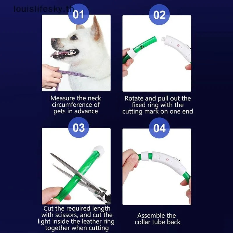Collare LED Ricaricabile USB per Cani e Gatti — 3 Modalità"